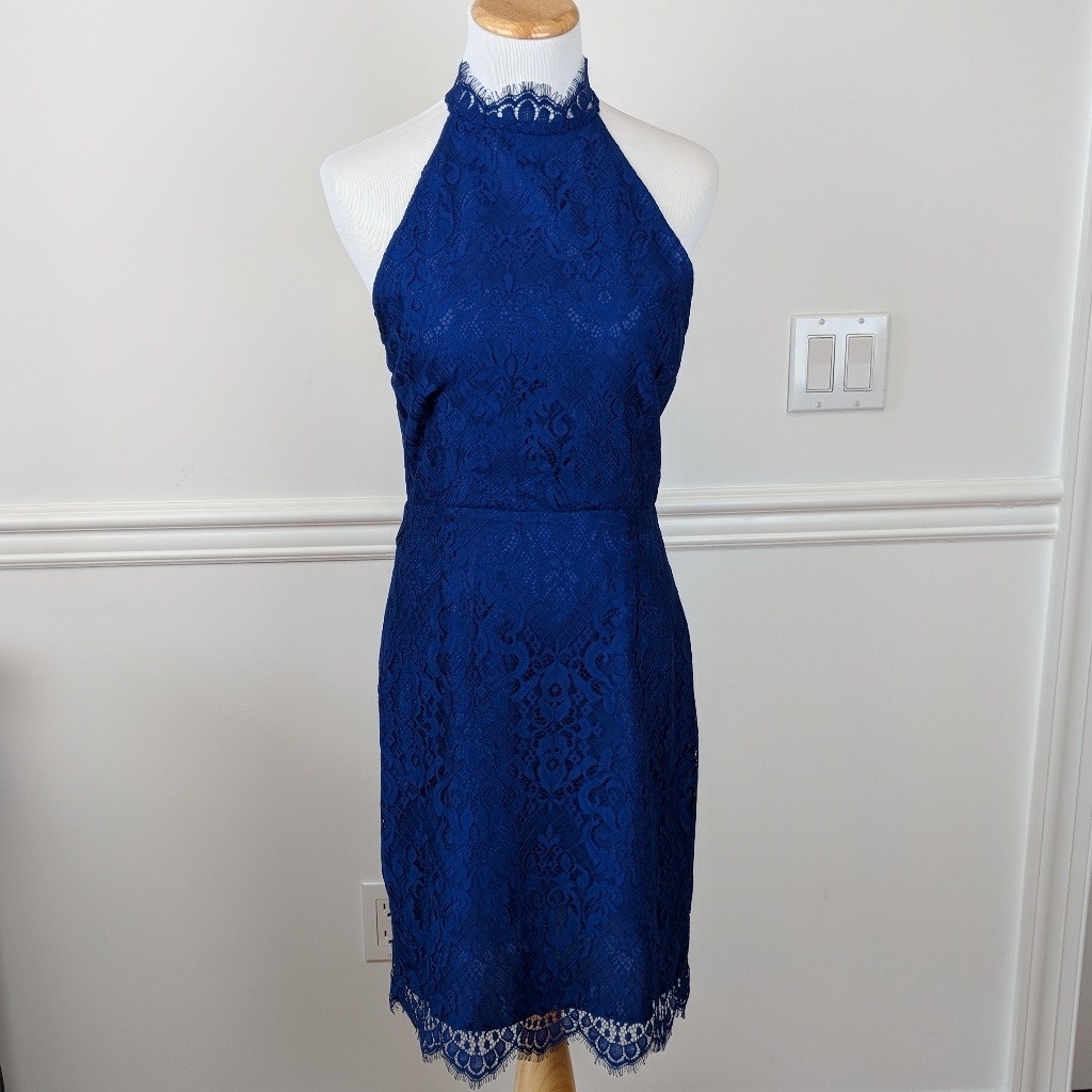 Nwt: Bb Dakota Cherie Dress